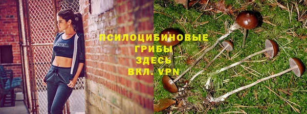 ALPHA-PVP Верея